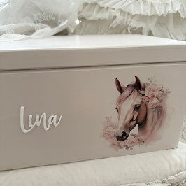 Sueño de caballo de caja