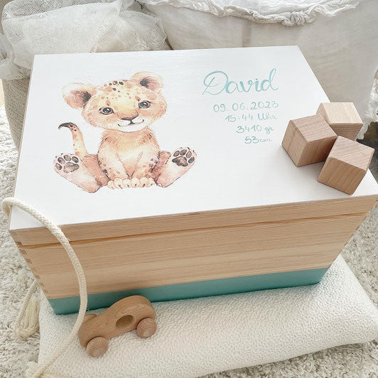 Coffret Bébé Lion avec Données