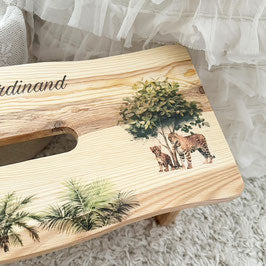 Safari step stool